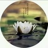 媚姨