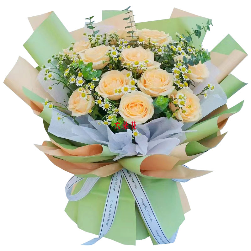 11朵香槟玫瑰洋甘菊，爱温暖幸福