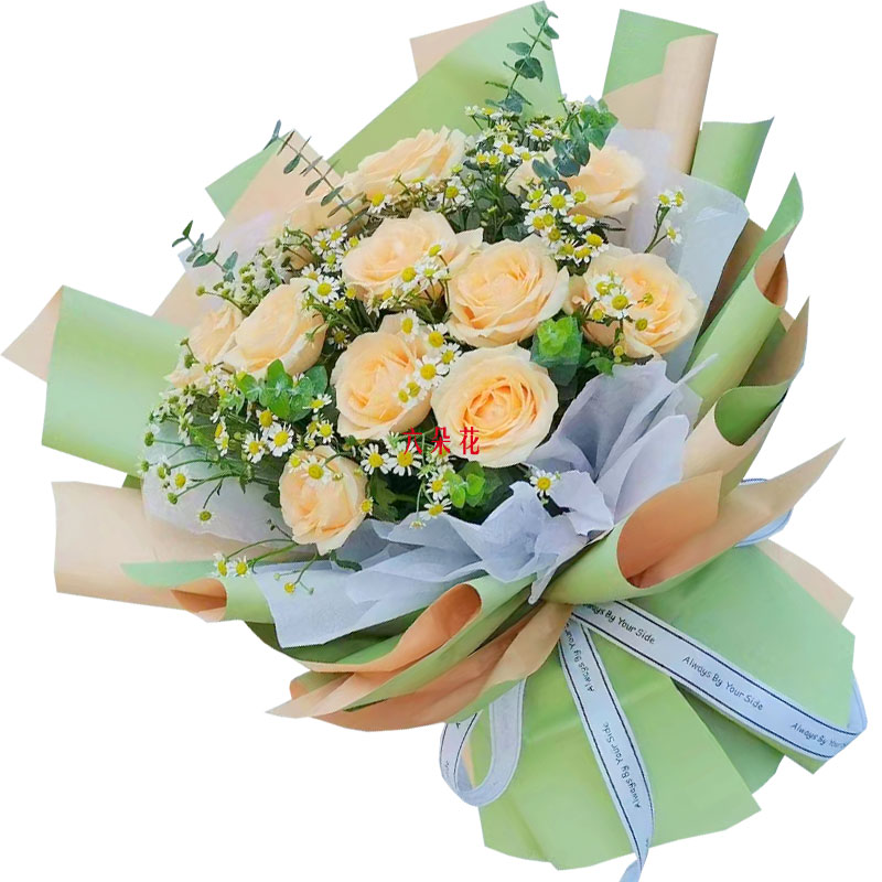 11朵香槟玫瑰洋甘菊，爱温暖幸福