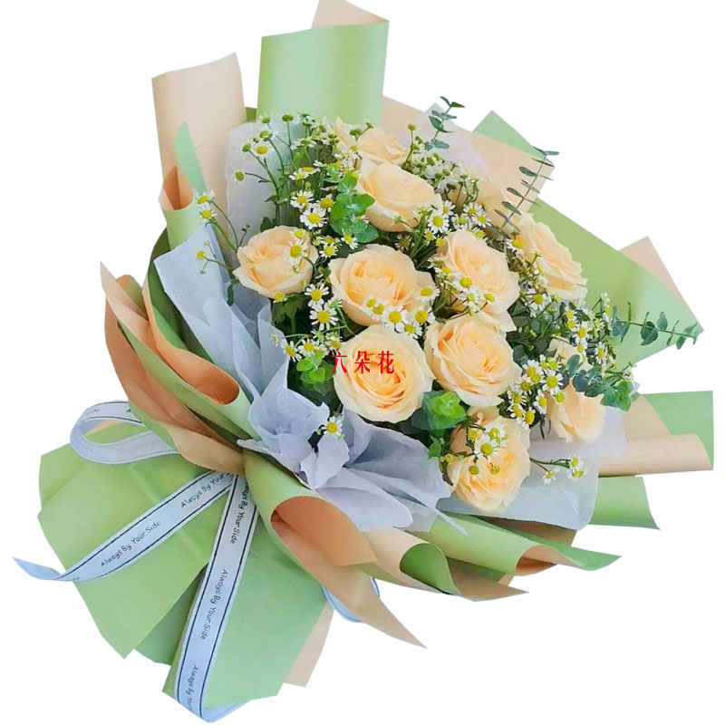 11朵香槟玫瑰洋甘菊，爱温暖幸福