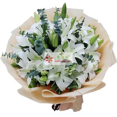 乌鲁木齐9支白色多头百合，祝福你幸福